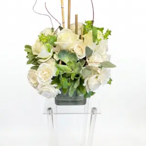Graceful White Rose